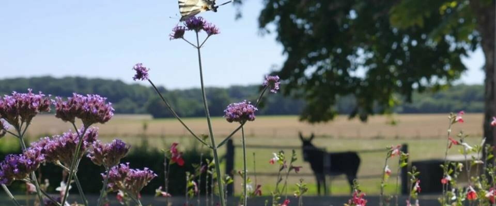 Découvrez les évènements annuels de la Commune de Vallenay